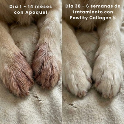 Colágeno Líquido para Perros
