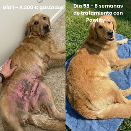 Colágeno Líquido para Perros