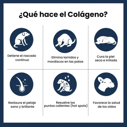 Colágeno Líquido para Perros