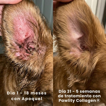 Colágeno Líquido para Perros