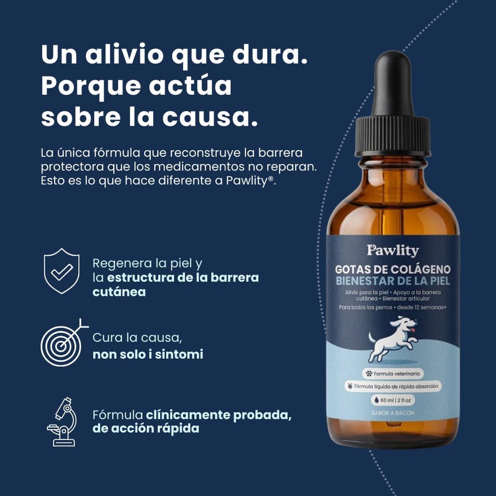 Colágeno Líquido para Perros