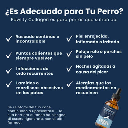 Colágeno Líquido para Perros